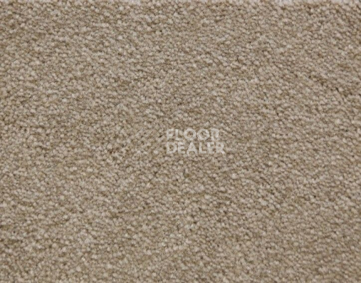Ковролин Radici Lord Cardamomo 327E фото 1 | FLOORDEALER